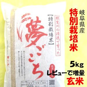 ハツシモ 令和7年産 お米 特別栽培米 岐阜県産 玄米5Kg（レビューで