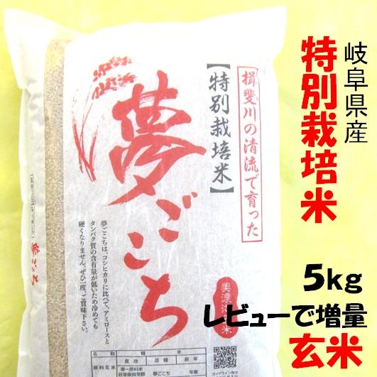 令和５年産【特別栽培米】岐阜県産 夢ごこち 玄米5Kg【送料無料】北海道 沖縄 離島は追加送料