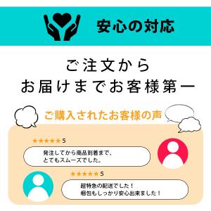 コンドー厶 コンドー厶サガミ コンドー厶 サガ...の詳細画像3
