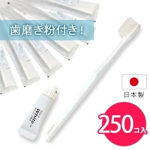 使い捨て 歯ブラシセット 業務用 26穴 200本 リリー チューブ付 200 