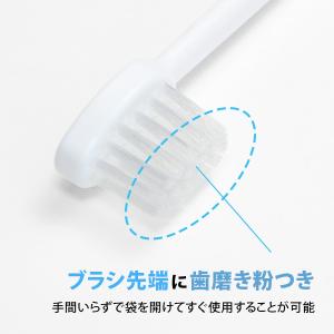歯ブラシ 業務用 使い捨て ハブラシ ホテル ...の詳細画像1