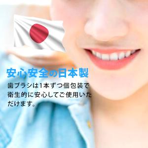 歯ブラシ 業務用 使い捨て ハブラシ ホテル ...の詳細画像2