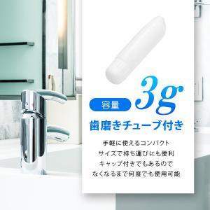 歯ブラシ ハブラシ 業務用 使い捨て ホテルア...の詳細画像3