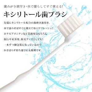 歯ブラシ 業務用 使い捨て HOKUTO キシ...の詳細画像1