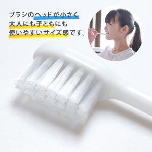 業務用 使い捨て 歯ブラシ 歯磨き粉 チューブ...の詳細画像1