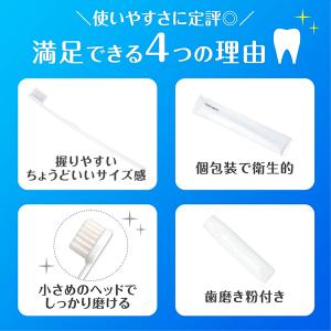 業務用 使い捨て 歯ブラシ 歯磨き粉 チューブ...の詳細画像2