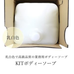 業務用ボディソープ KITボディーソープ 20...の詳細画像3