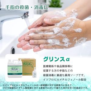 ボディソープ 石鹸 ソープ 無香料 業務用 グ...の詳細画像1