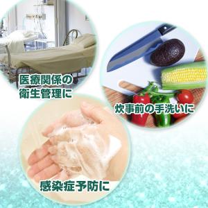 ボディソープ 石鹸 ソープ 無香料 業務用 グ...の詳細画像2