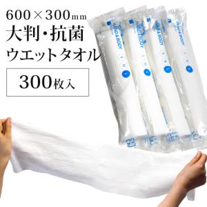 ハンドタオル ボディタオル 使い捨て 紙おしぼり VBケア ウエットタオル 抗ウイルス 抗菌 防臭 Body Towel B60 300本入り 透明 クリア 個包装｜sirudayYahoo!店