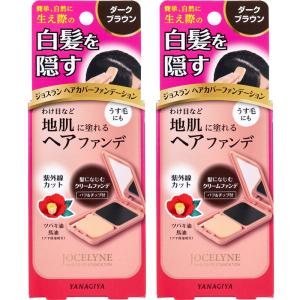 ジョスラン ヘアカバーファンデーション 白髪・頭皮用ファンデーション ダークブラウン 13g　2個セット　柳屋本店｜siseil