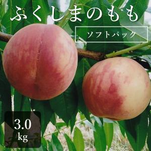 【ふくしまプライド。】お盆開け発送　ふくしまのもも　桃　2.7キロ箱　産地直送 関東東北は送料無料　9〜12玉　3800円＜化粧箱＞秀品