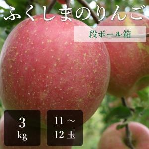 蜜入りサンフジ　ふじりんご　秀品　リンゴ３キロ箱（中身2.7キロ位）(9〜12玉入り)4600円＜化粧箱＞