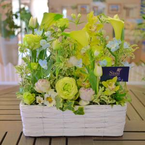 送料無料　アレンジ ギフト 結婚祝い 電報 祝電 誕生日 父の日 プレゼント 花 　【和風系】パラレルアレンジメント Mサイズ