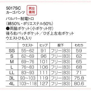ディッキーズ カーゴパンツ 男女兼用 5017...の詳細画像4