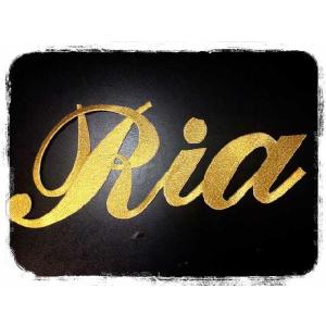 オーダーネームワッペン「筆記体」「28cm」文字名前刺繍ORDER英文字