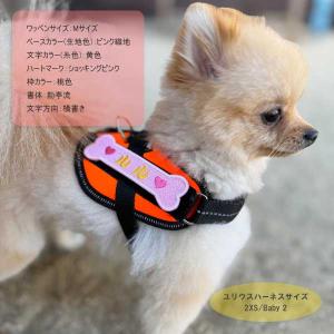 骨形 ネームワッペン オーダー お名前 骨 ほ...の詳細画像1