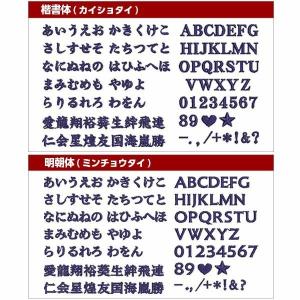 オーダー ネーム ワッペン/フェイクレザー/S...の詳細画像4