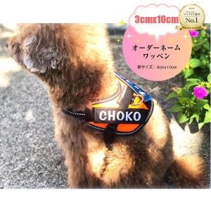 オーダー ネーム ワッペン 5枚セット/Sサイ...の詳細画像2