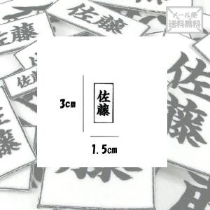30 15 柔道 剣道 空手 道着 ワッペン 名前 刺繍 漢字 苗字