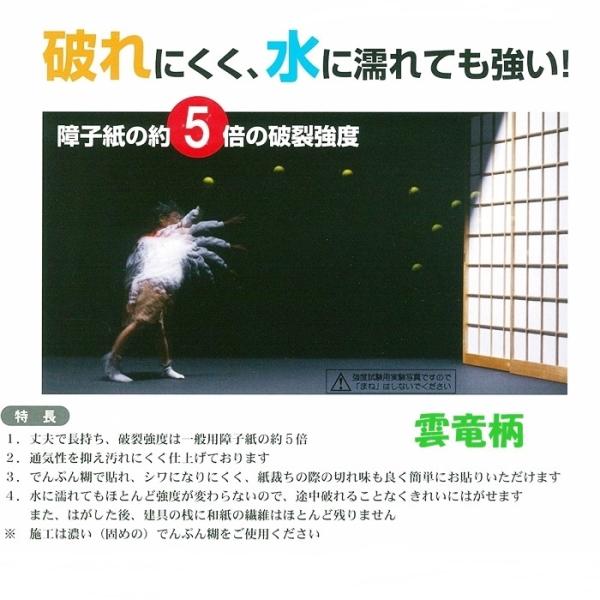 強化障子紙　タフトップ　３０ｍ雲竜（白）
