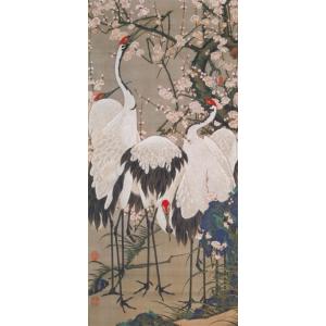 おしゃれ ふすま紙  伊藤若冲10　デザイン襖紙（襖/ふすま/鳥の子/和紙/オシャレ/和風/和柄/鳥...