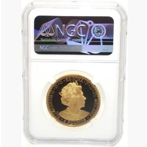 ウナとライオンの詳細画像2