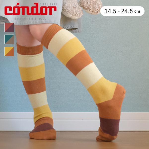 靴下 condor コンドル カラー ワイドストライプ ニーソックス 14.5〜24.5cm （ 子...