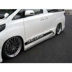 20系アルファード ヴェルファイア キャンバープレート 1度 3度