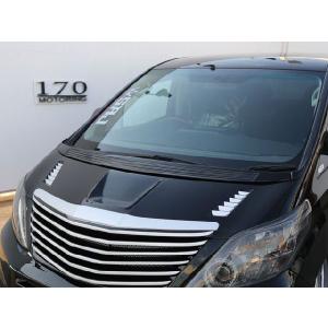 20系アルファード ヴェルファイア キャンバープレート 1度 3度