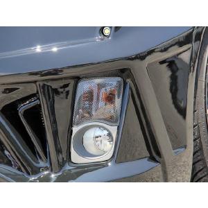 30プリウス後期用ヘッドライトカバー ドット仕様 LED・HID／ハロゲン