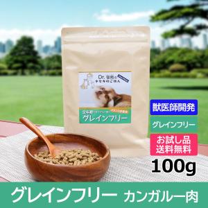 DearMateグレインフリー　カンガルー　100g　初回お試しサンプル 送料無料 全犬種用　ディア...