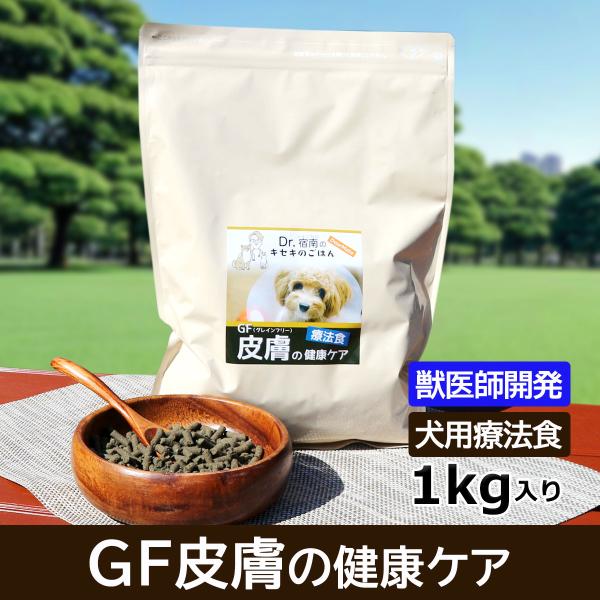 Dr.宿南のキセキのごはん（旧・DearMate）GF皮膚の健康ケア（グレインフリー） 1kg 犬用...