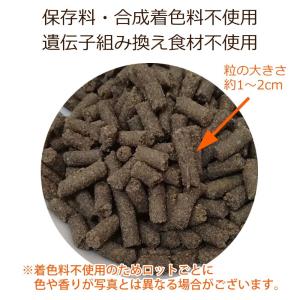 ドッグフード 腎臓の健康サポート 犬用療法食 ...の詳細画像3