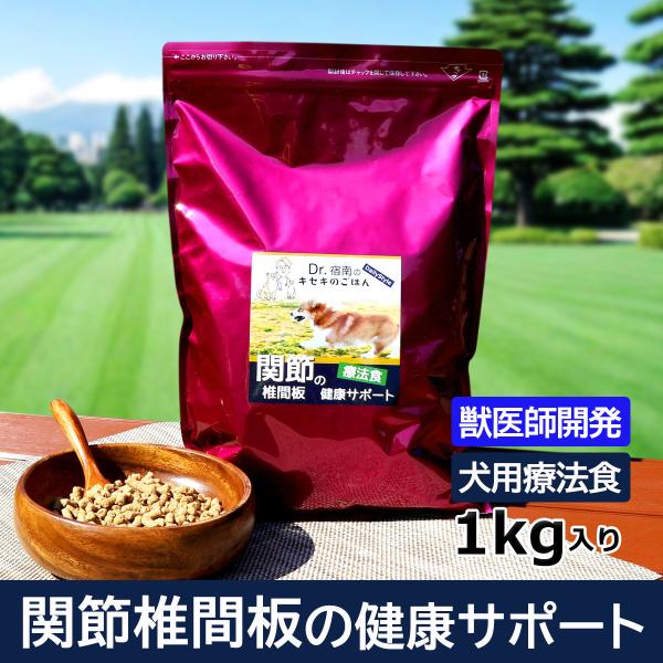 関節・椎間板の健康サポート ドッグフード 犬用療法食 1kg ・Dr.宿南のキセキのごはん 獣医師開...