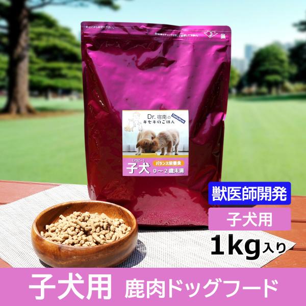ドッグフード （プレミアム）子犬・パピー用 0~2歳未満 1kg 獣医師開発 Dr.宿南のキセキのご...