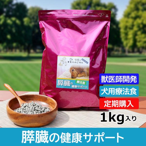 【定期購入】膵臓の健康サポート ドッグフード 犬用療法食 1kg・Dr.宿南のキセキのごはん 獣医師...