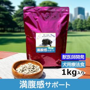 ロイヤルカナン 病気食サポート ウエットフード 27缶 ロイヤルカナン 病気食サポート ウエットフード 27缶 ロイヤル