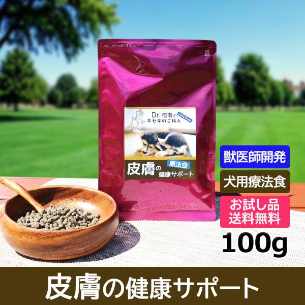 ドッグフード 皮膚の健康サポート 犬用療法食 100g 初回お試しサンプル 送料無料 ・Dr.宿南の...