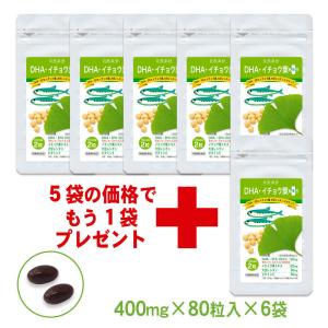 DHA・イチョウ葉プラス 80粒入×6袋（約8カ月分）DHA EPA オメガ３ サプリ  イチョウ葉 大豆レシチン ビタミンE ・2袋以上購入で5日分サンプル付