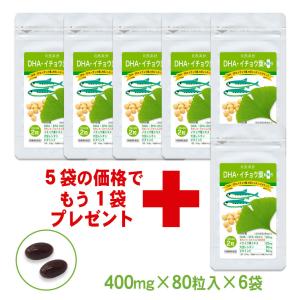 DHA・イチョウ葉プラス 80粒入×6袋（約8カ月分）DHA EPA オメガ３ サプリ  イチョウ葉 大豆レシチン ビタミンE ・2袋以上購入で5日分サンプル付｜sizensozaishop