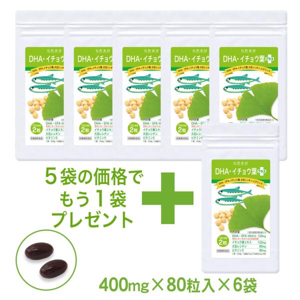 イチョウ葉 エキス サプリ 80粒入り 6袋 （240日分） DHA EPA ギンコビロバ オメガ3...