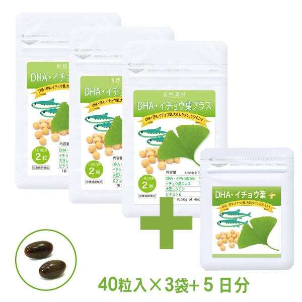 イチョウ葉 エキス サプリ 40粒入り 3袋 （60日分） DHA EPA ギンコビロバ オメガ3脂...