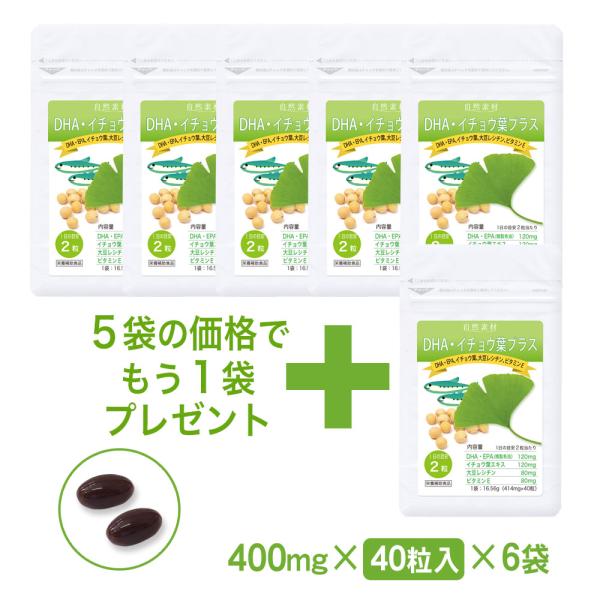 イチョウ葉 エキス サプリ 40粒入り 6袋 （120日分） DHA EPA ギンコビロバ オメガ3...