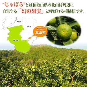じゃばら サプリ ジャバラ ジャバラ果皮の力 ...の詳細画像2
