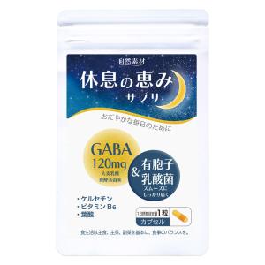 MENARD スタイルアシスト 45粒×4 MENARD スタイルアシスト メナード スタイルアシスト 45粒×4