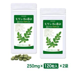 オフリカケ 60g (2g×30包) × 3箱 ダイエットサプリ オフリカケ ダイエット サプリメント 30日分 機能性表示食品 バッカス