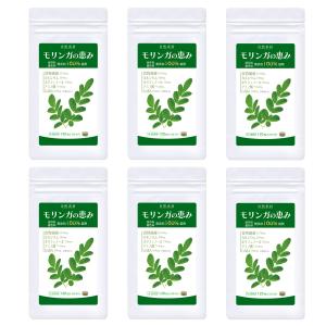 アムウェイ メディカラダ ウォーク NTMK30 脚用運動機器 amway