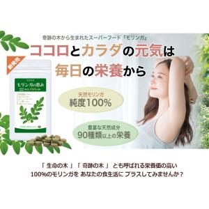 初回限定2袋まで999円 モリンガ サプリ 1...の詳細画像1