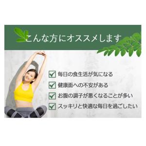 初回限定2袋まで999円 モリンガ サプリ 1...の詳細画像2